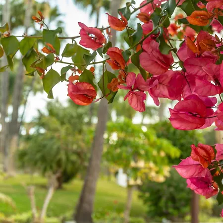 Апартаменты Rabat 6 Oasis