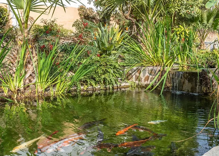 Rabat 6 Oasis * Нерха