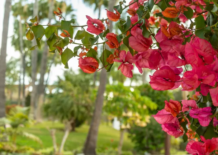 Апартаменты Rabat 6 Oasis