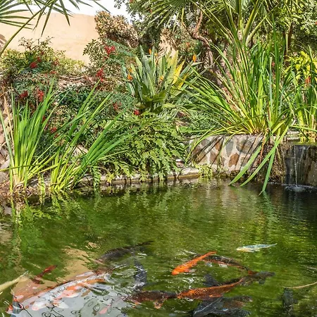 Rabat 6 Oasis * Нерха