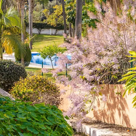 Apartman Rabat 6 Oasis *